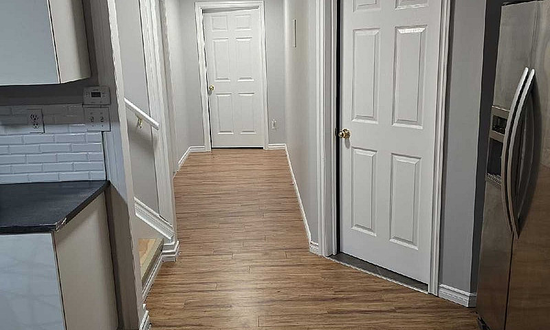 Basement For Rent Av...