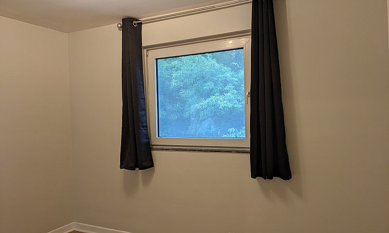 Bright 3 Br Home: Ne...