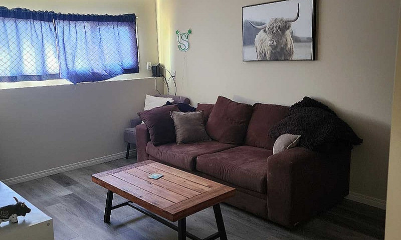 1 Bedroom Daylight S...