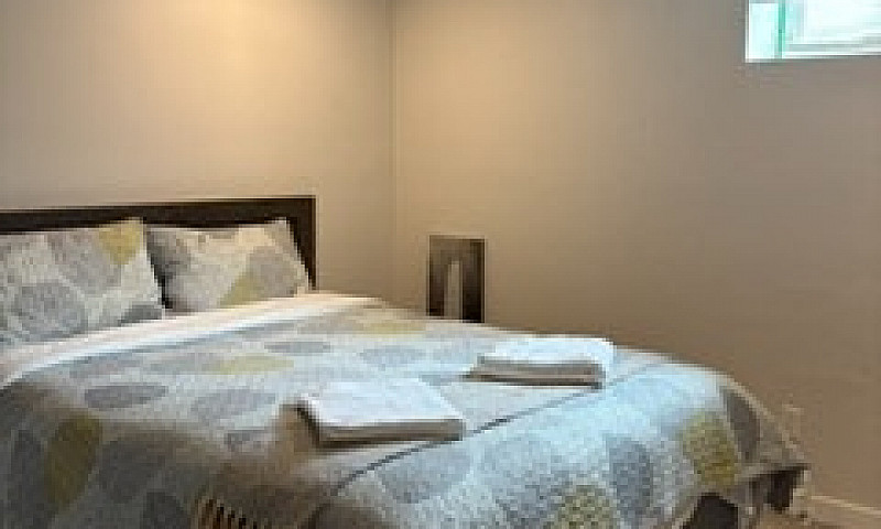 Quiet Linden Woods S...