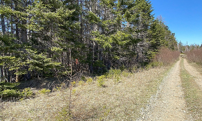 10 Acre - Vacant Lan...