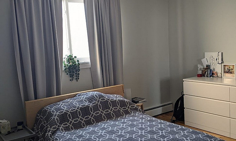 Whyte Ave 1Br, Heat ...