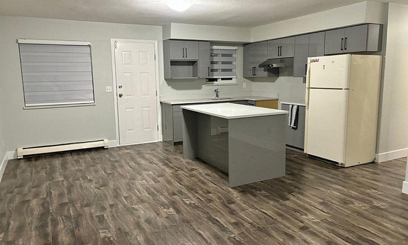 Two Bedroom Basement...