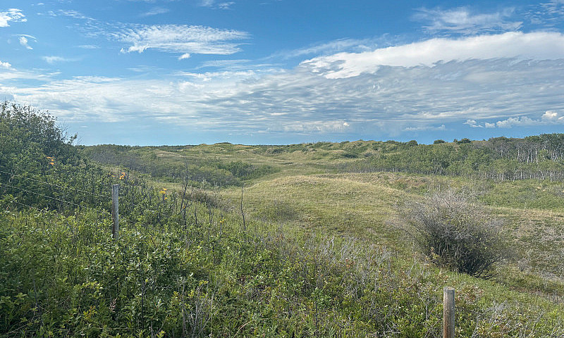 320 Acres Of Untouch...