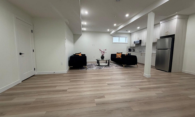 Modern Basement Apar...