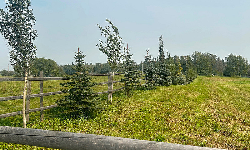 5 Acres Location, Lo...