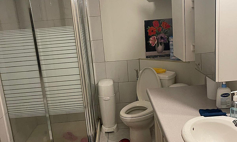 Basement For Rent Ne...