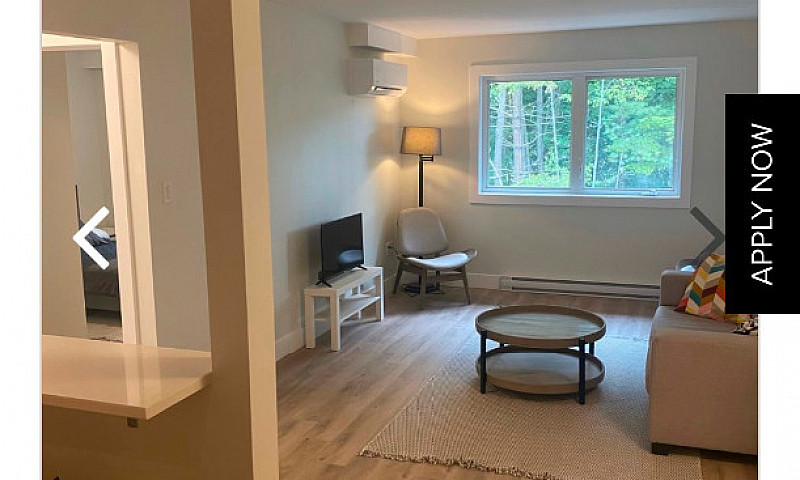 Apartment...