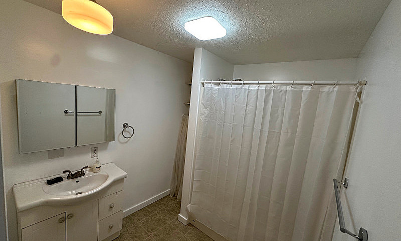 1 Bedroom Suite Den ...