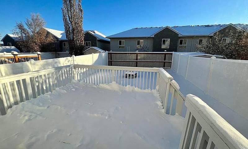 3 Bed + Bonus Room D...