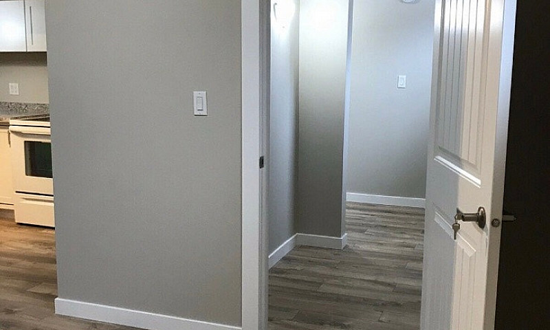 Two Bedroom Basement...