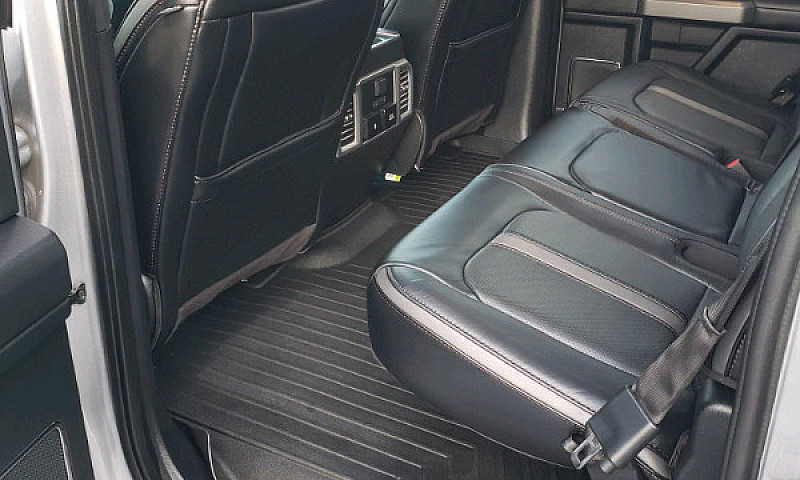 2020 F150 Platinum 4...