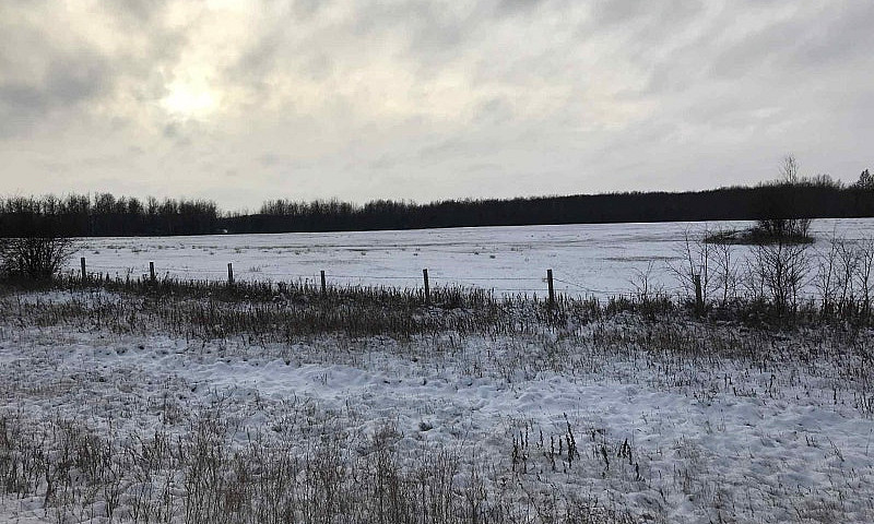 125 Acres -/+ Farm L...