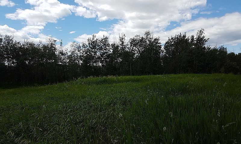 Elk Island Acreage F...