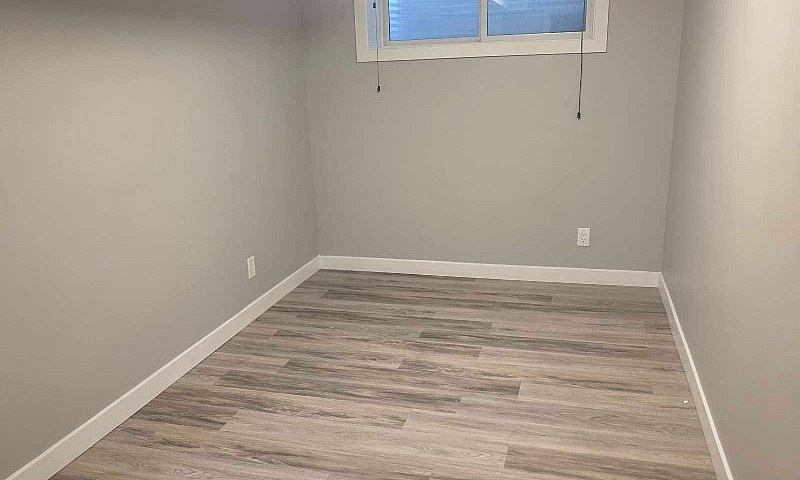 Basement Suite...