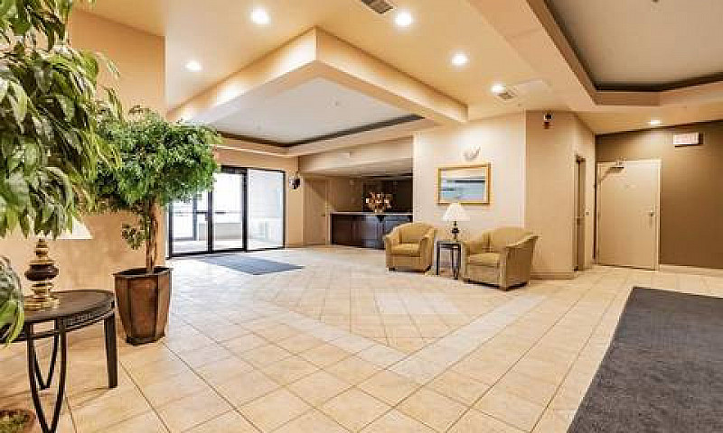Large Furnished, 1 B...