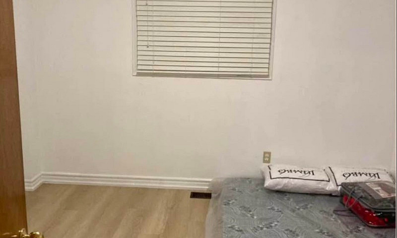 1 Bed 1 Bath Apartme...