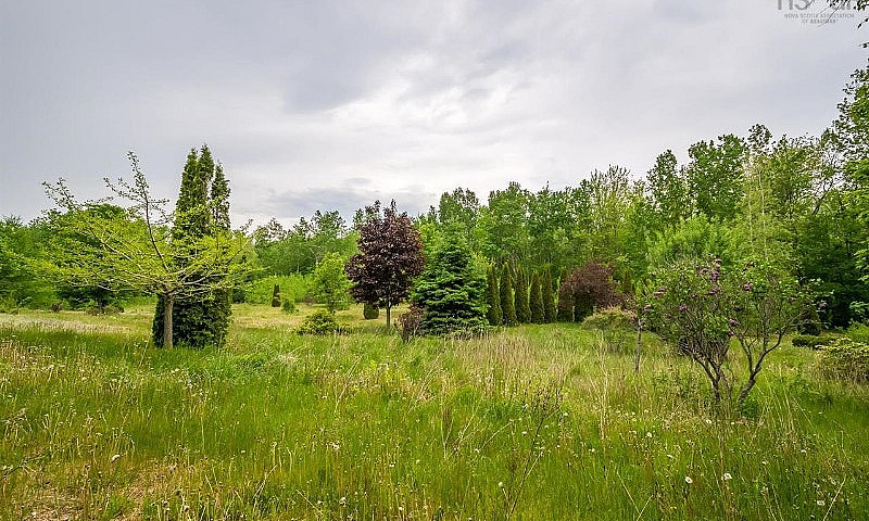 Beautiful 33 Acres I...