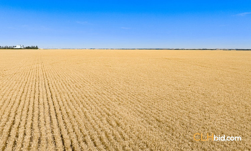 1,641 Acres Farm Lan...