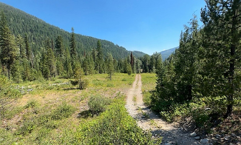Gold/Placer Claim ...