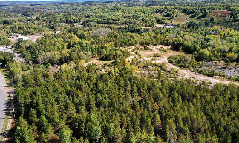 40 Acres Of Land - P...