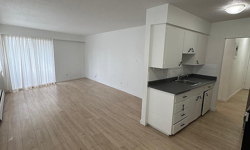 Bright 1-Bedroom Sui...