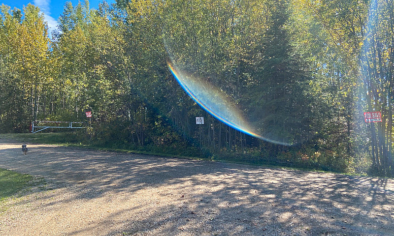 Alberta Beach Raw La...