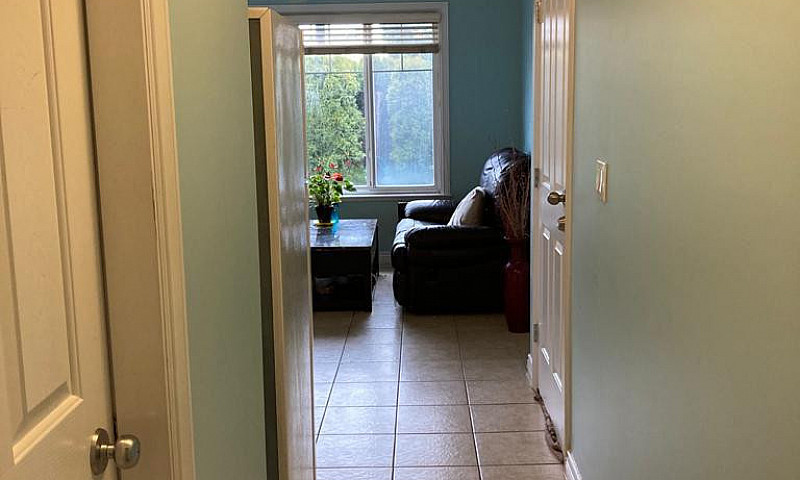 1 Bedroom 1 Bath Bas...