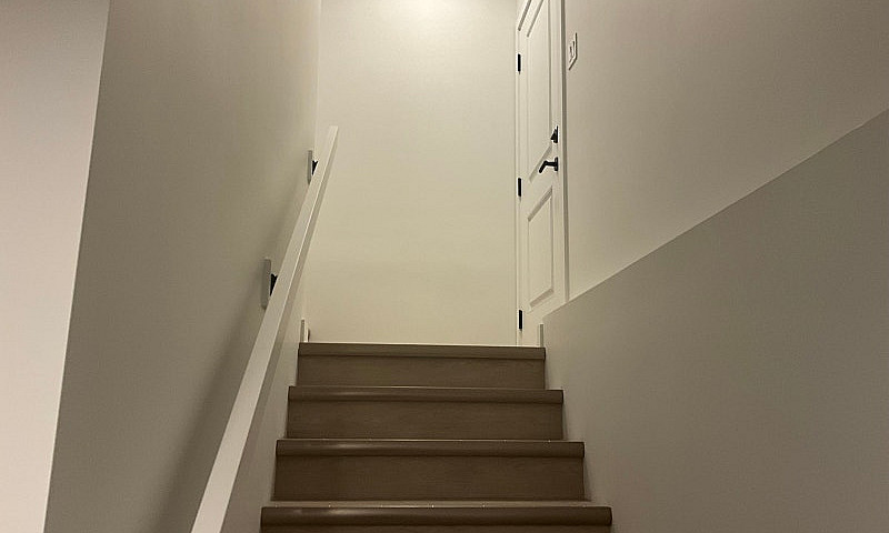 New Basement Suite F...
