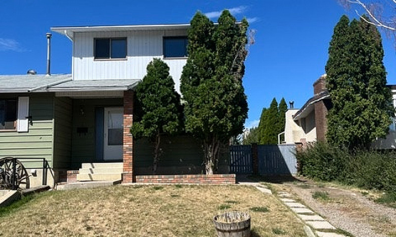 Half Duplex With Ren...