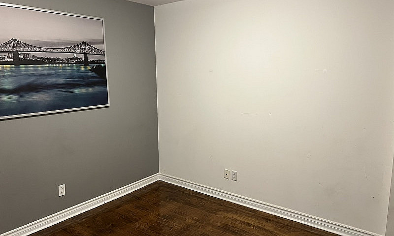 Newly Renovated Cond...