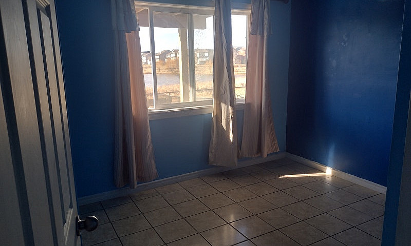 Walkout Basement In ...