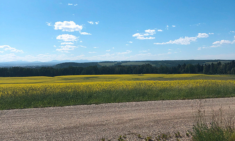 4 Acres In Mountain ...