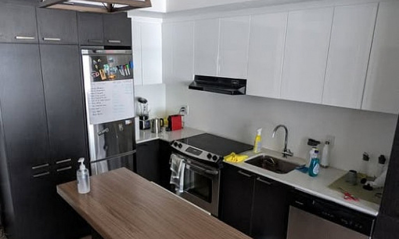 1 Bedroom Downtown C...
