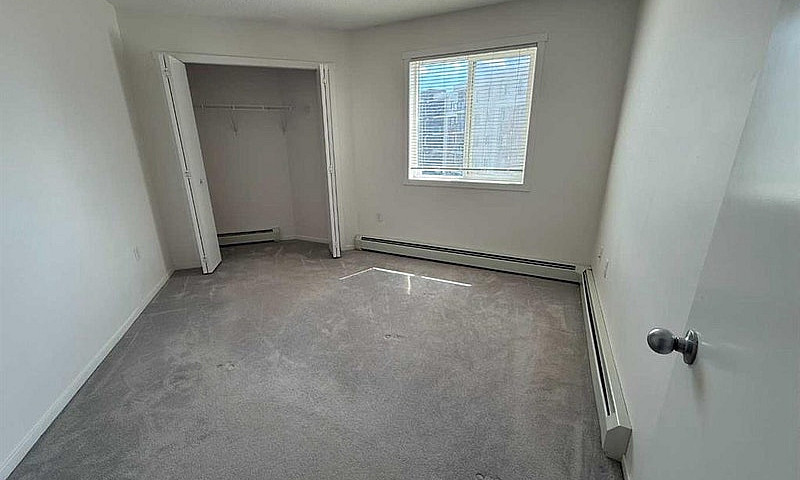 2Bed 1Bath Apartment...
