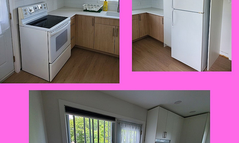 4.5 Fully Renovated ...