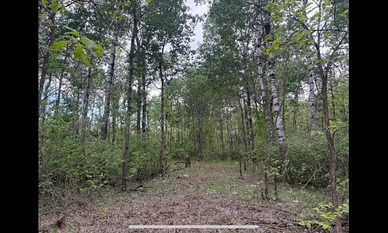 2 Acres 6 Miles East...