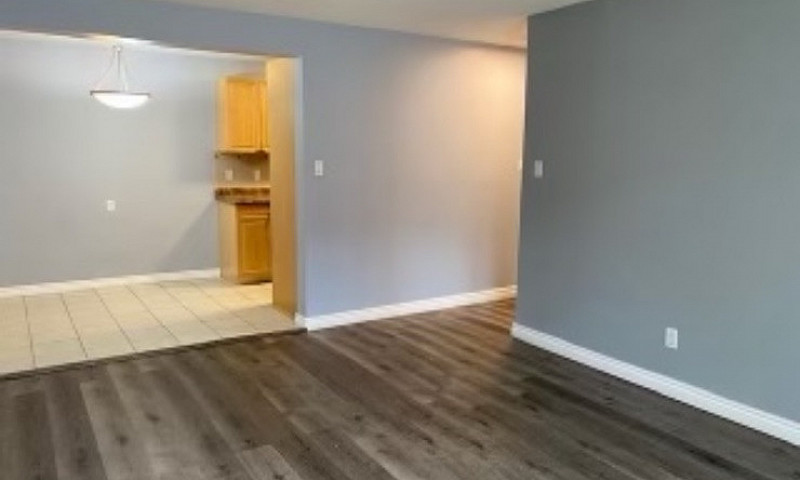 1 Bed 1 Bath Apartme...
