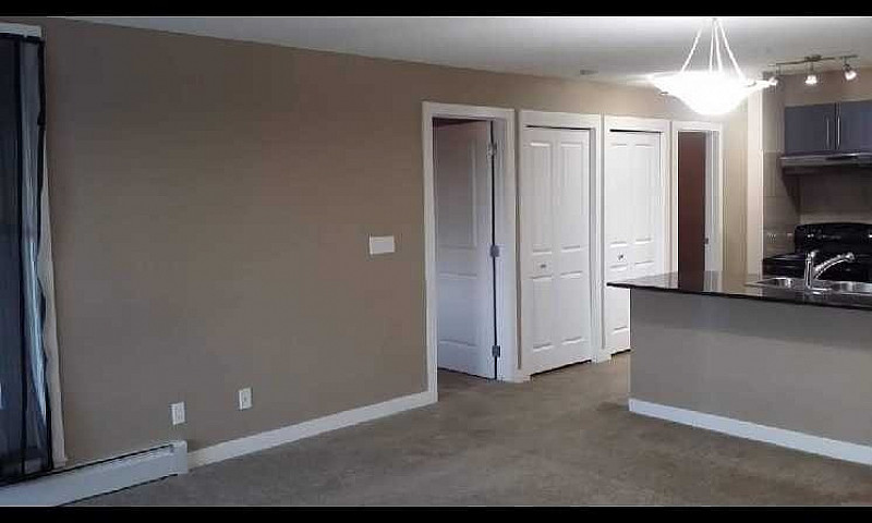 2 Bed 1 Bath Condo F...