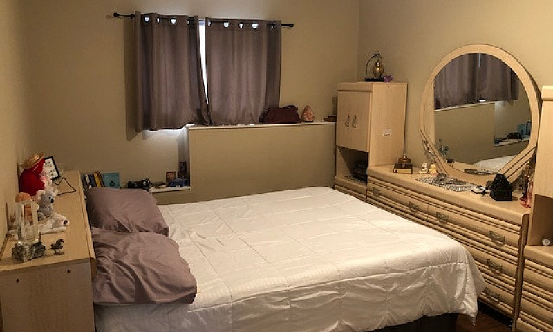 Pet Friendly, West, ...