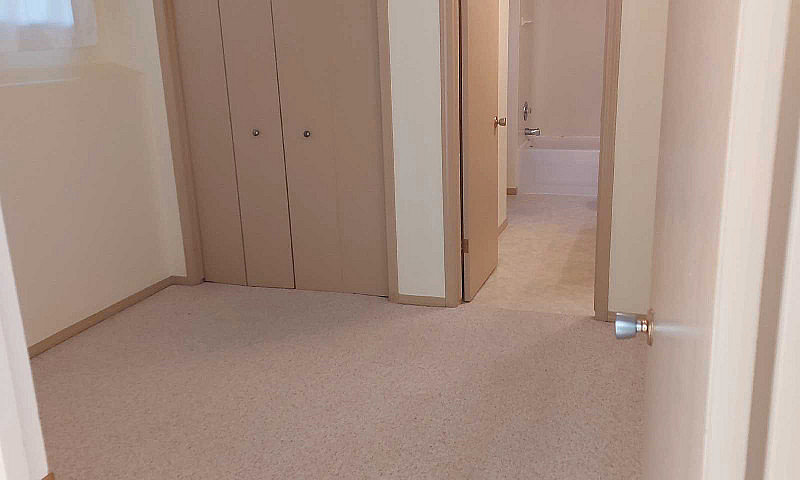 One Bedroom Basement...