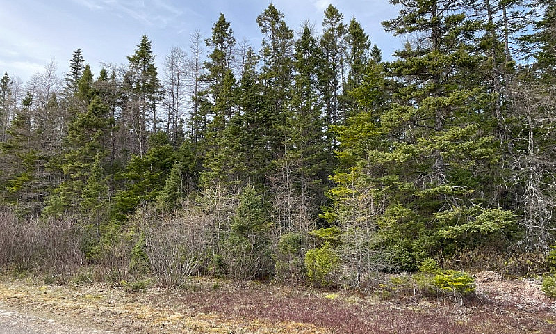 5.4 Acre Lot Loch Lo...