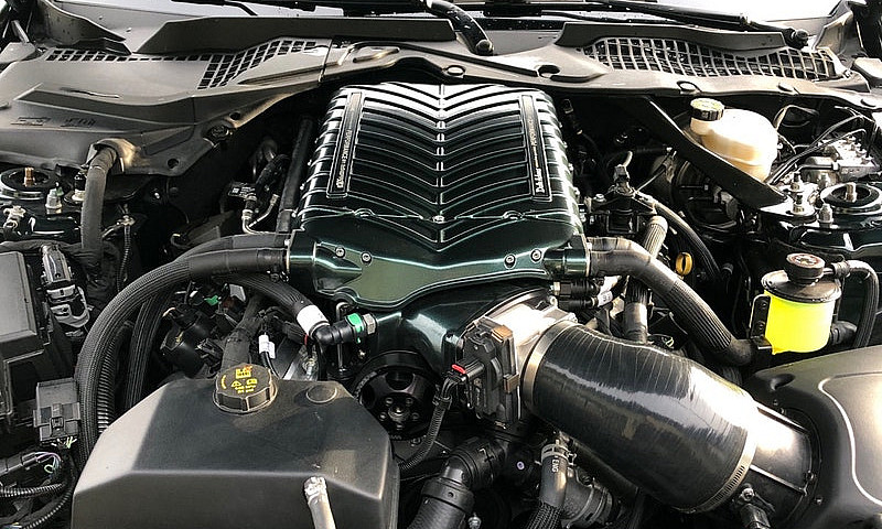 2019 Ford Mustang Bu...