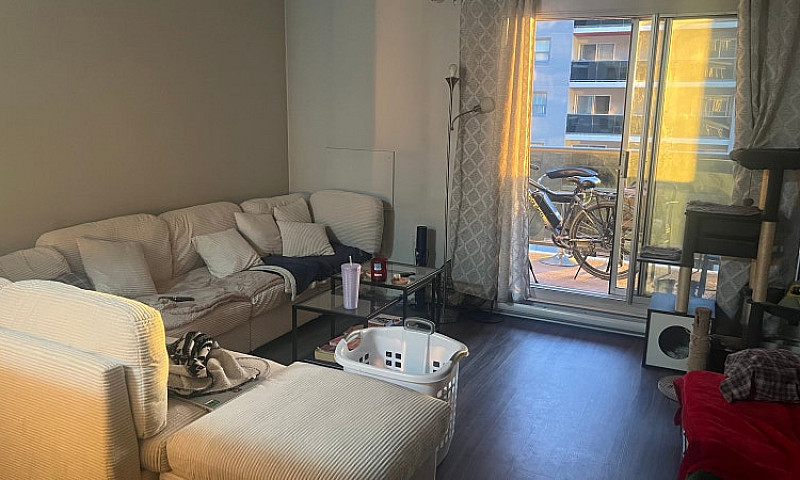 1 Bed 1 Bath Apartme...