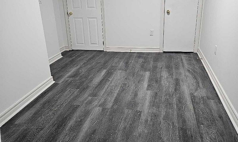 3 Bedroom Basement N...
