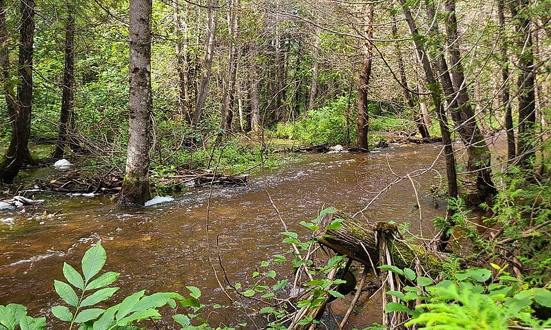 Terre À Bois À Paspé...