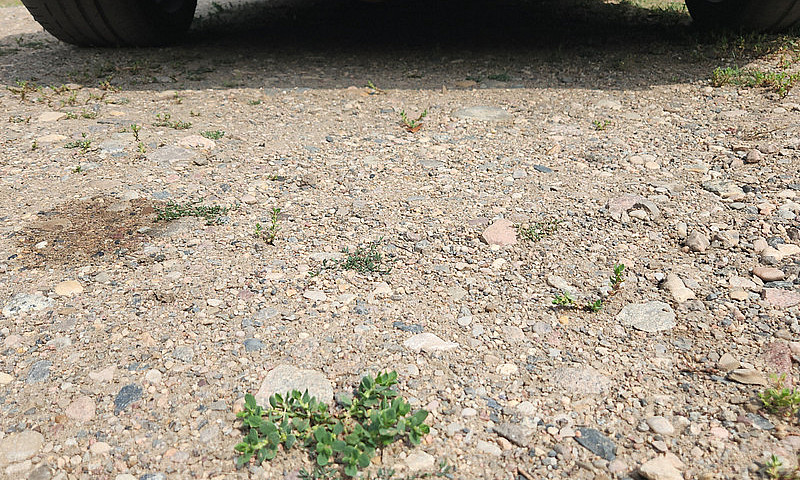 *** 2004 Nissan 350Z...