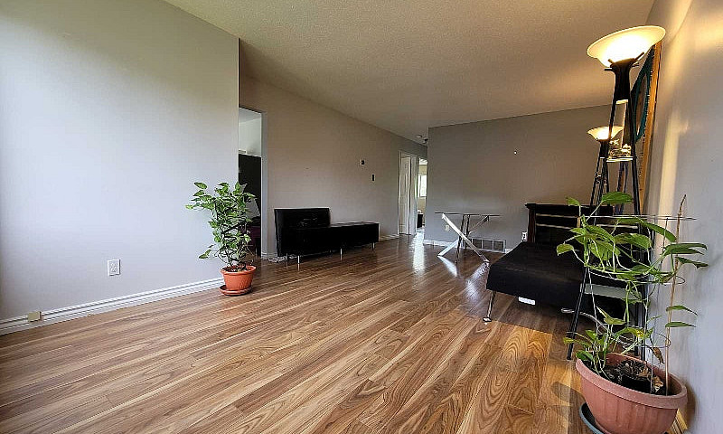 3 Bed 1 Bath Unit In...
