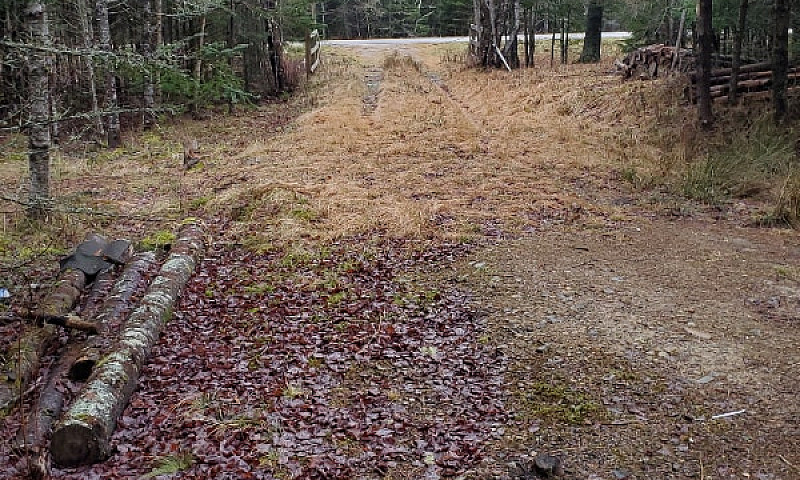 House Lot Acreage Fo...