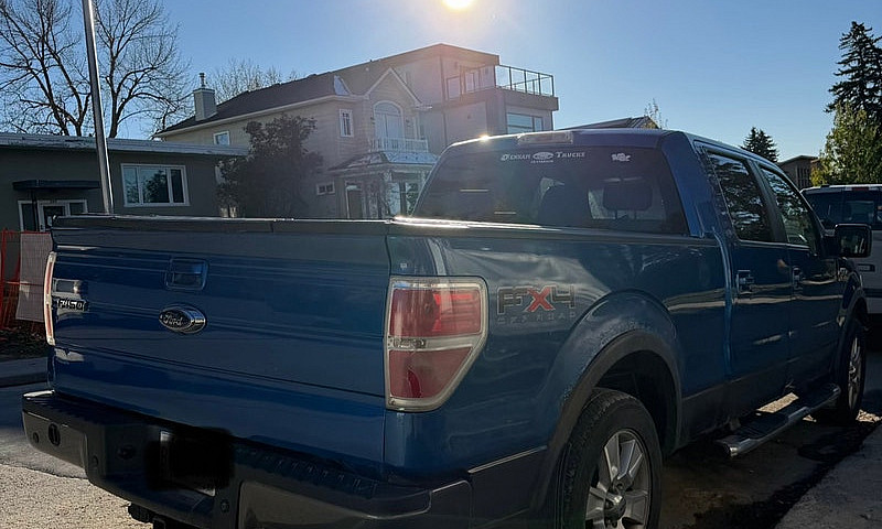 2009 Ford F-150 Fx4 ...